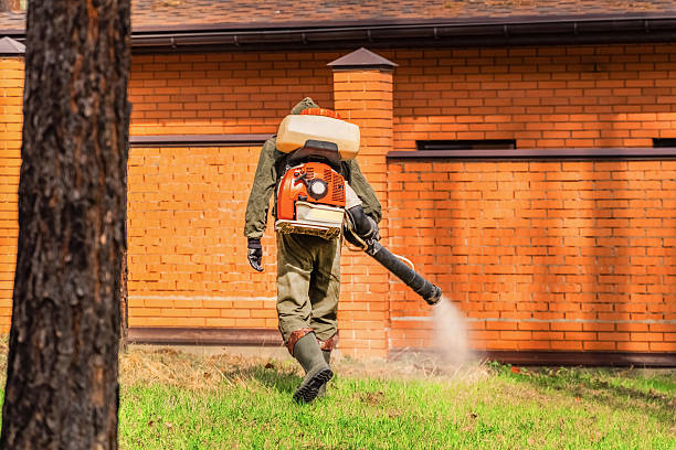 Trusted Bed Bug Control service in Kingsburg, CA - Nex Pest Control